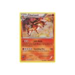 Charizard #19