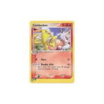 Combusken 009